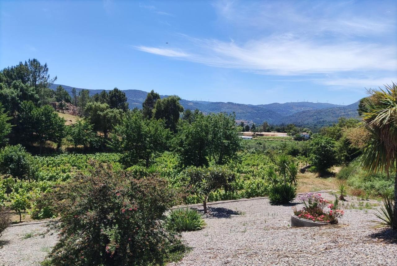 Quinta Da Paixao - Bed & Breakfast Pedraca Kültér fotó
