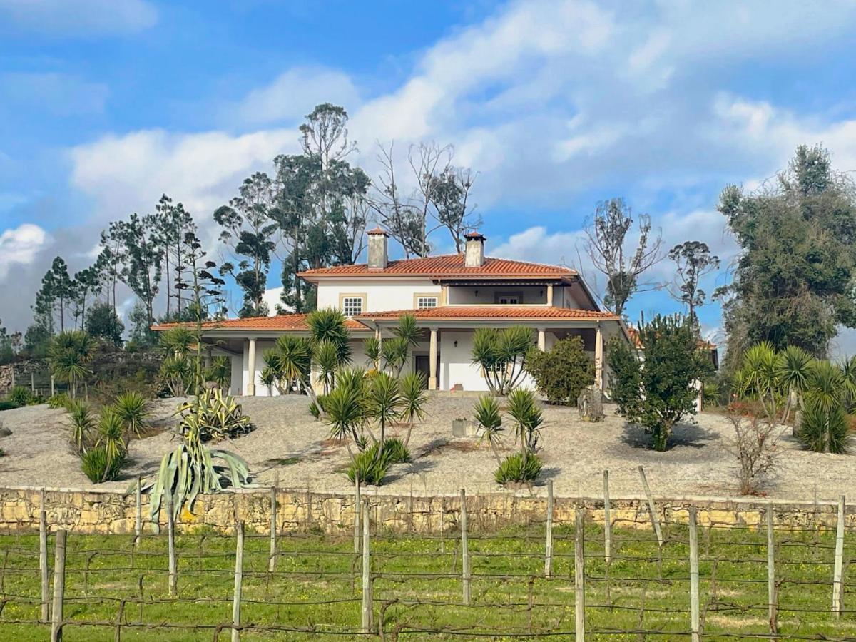 Quinta Da Paixao - Bed & Breakfast Pedraca Kültér fotó